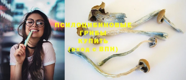 твердый Осинники