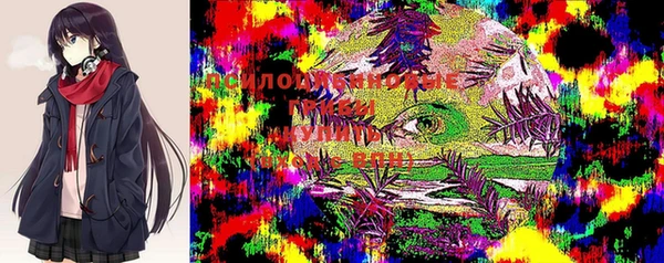 хмурый Абинск