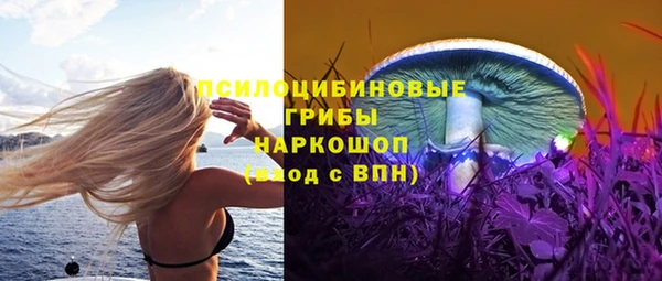 твердый Осинники