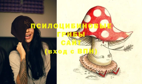 экстази Осташков