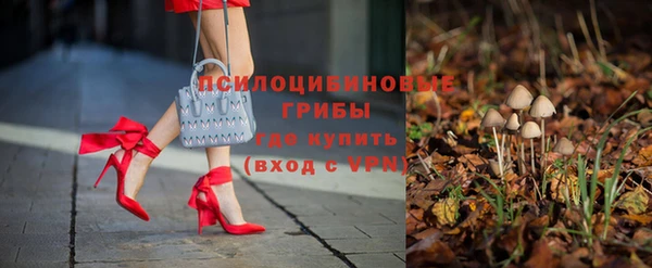 хмурый Абинск